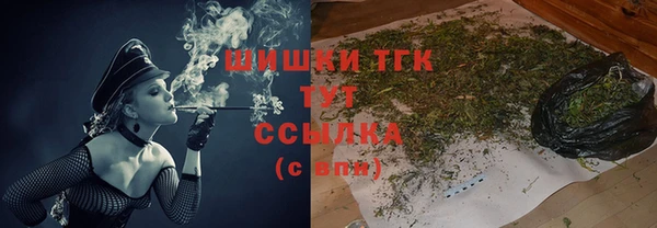 ГАЛЛЮЦИНОГЕННЫЕ ГРИБЫ Белокуриха