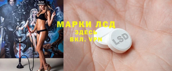 ГАЛЛЮЦИНОГЕННЫЕ ГРИБЫ Белокуриха