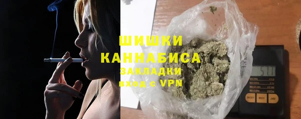 ГАЛЛЮЦИНОГЕННЫЕ ГРИБЫ Белокуриха