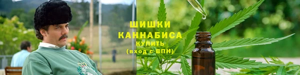 ГАЛЛЮЦИНОГЕННЫЕ ГРИБЫ Белокуриха