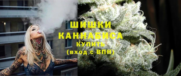 ГАЛЛЮЦИНОГЕННЫЕ ГРИБЫ Белокуриха