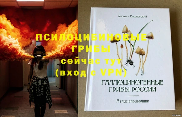 ГАЛЛЮЦИНОГЕННЫЕ ГРИБЫ Белокуриха