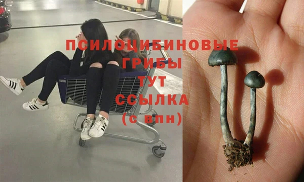 хмурый Беломорск