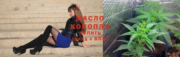 ГАЛЛЮЦИНОГЕННЫЕ ГРИБЫ Белокуриха