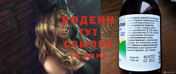 ГАЛЛЮЦИНОГЕННЫЕ ГРИБЫ Белокуриха